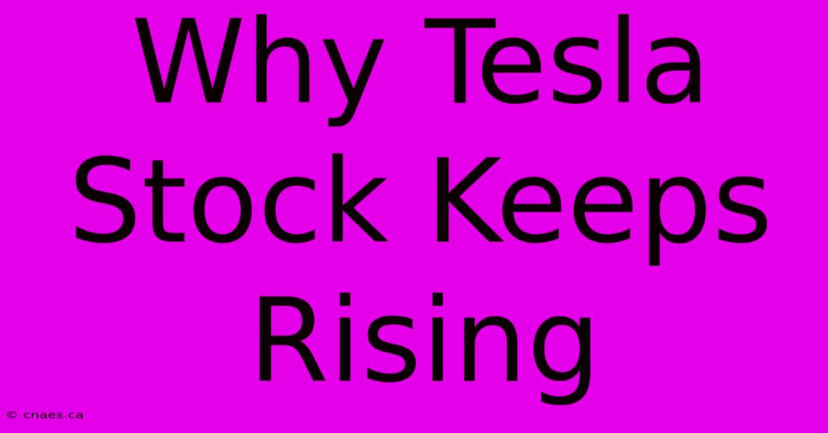 Why Tesla Stock Keeps Rising