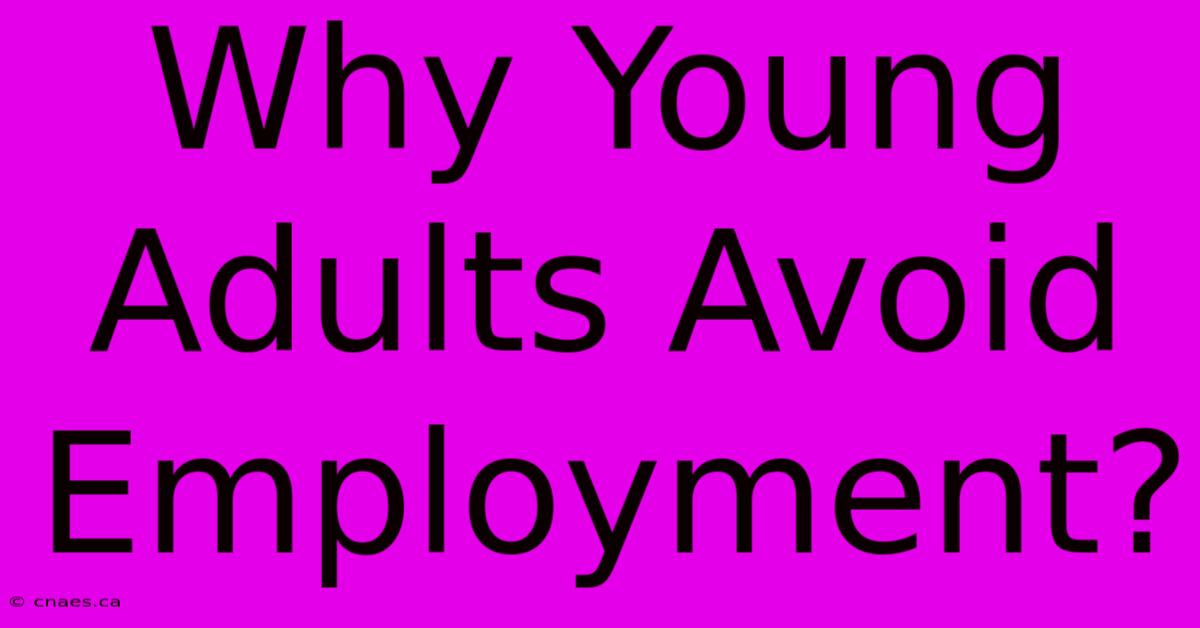 Why Young Adults Avoid Employment?