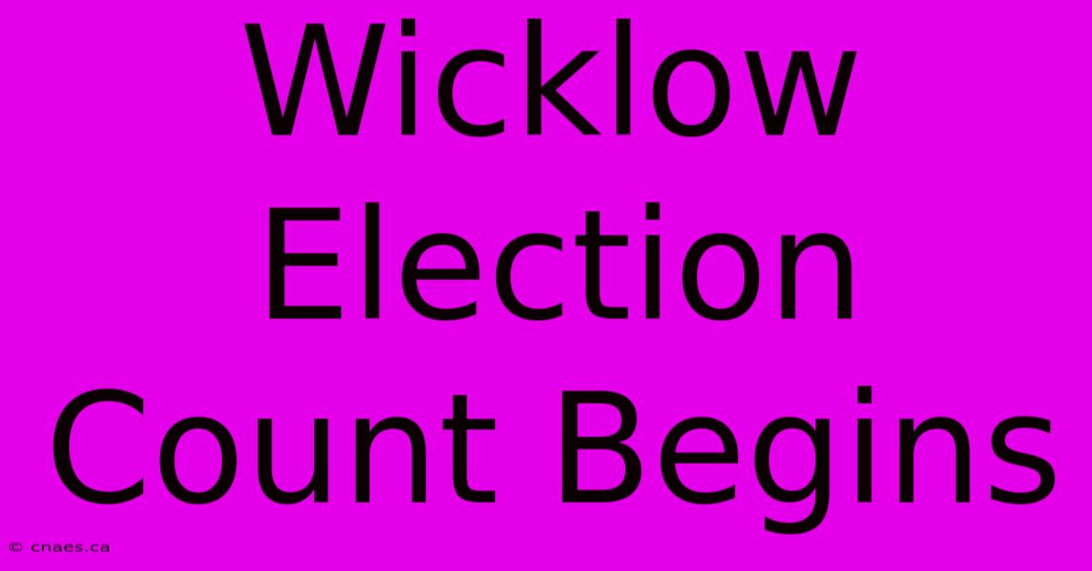 Wicklow Election Count Begins