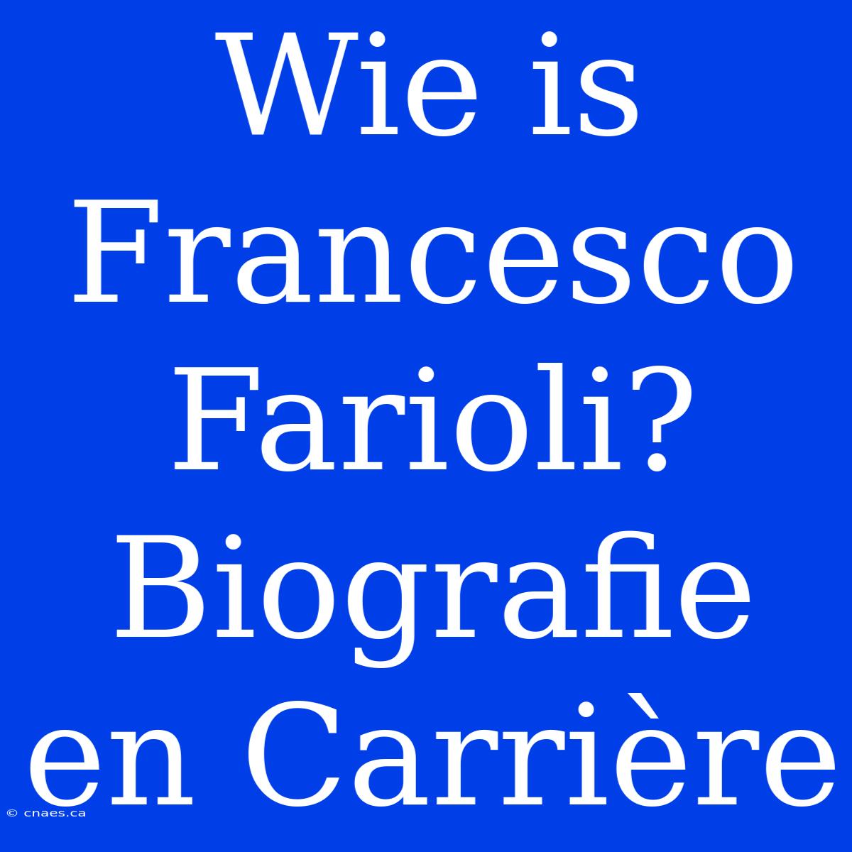 Wie Is Francesco Farioli? Biografie En Carrière