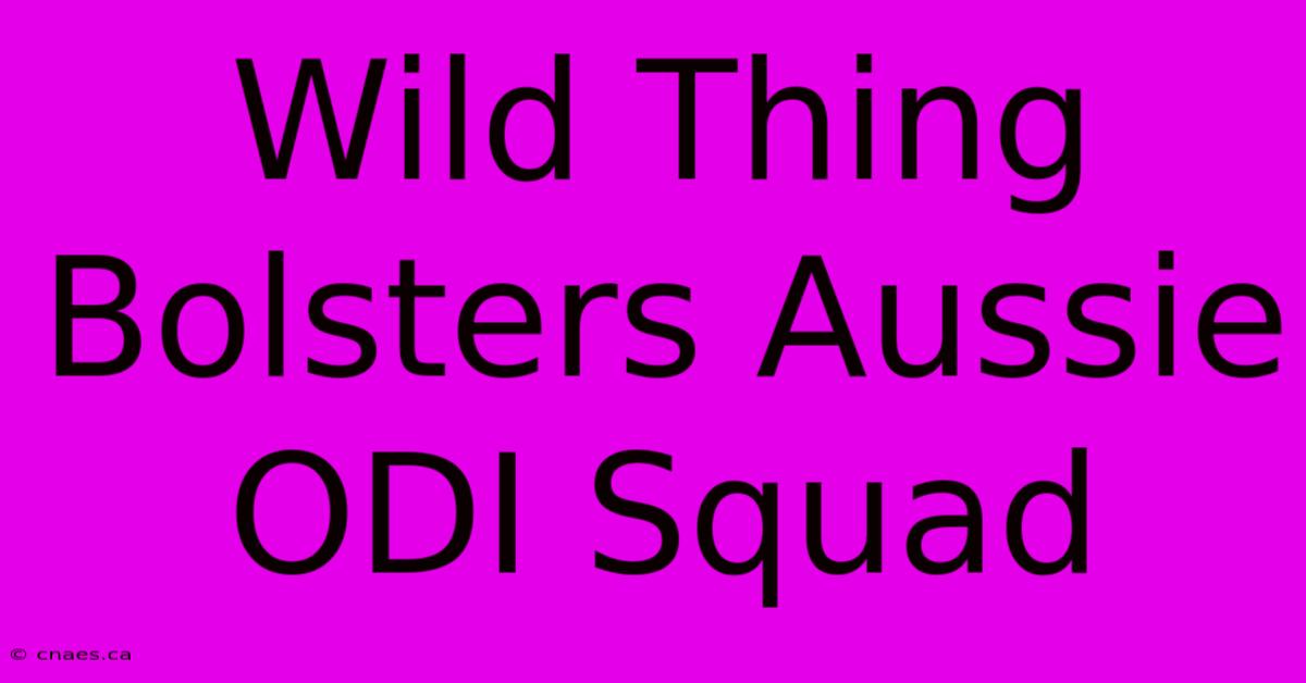 Wild Thing Bolsters Aussie ODI Squad