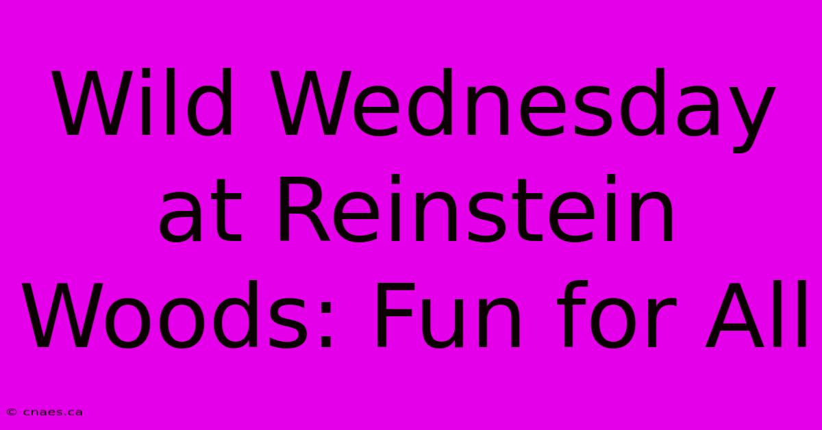 Wild Wednesday At Reinstein Woods: Fun For All