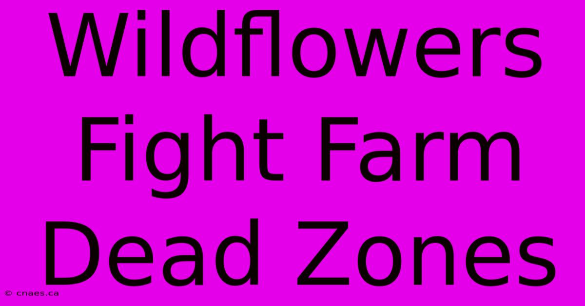 Wildflowers Fight Farm Dead Zones