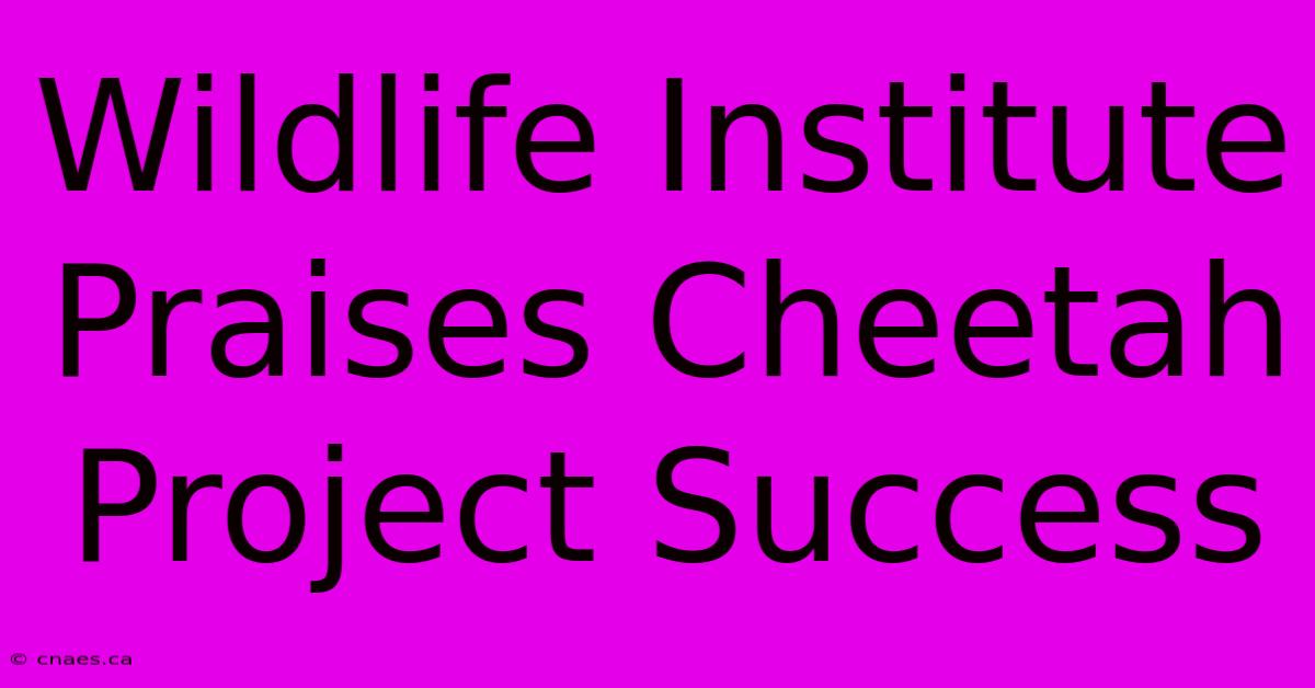 Wildlife Institute Praises Cheetah Project Success