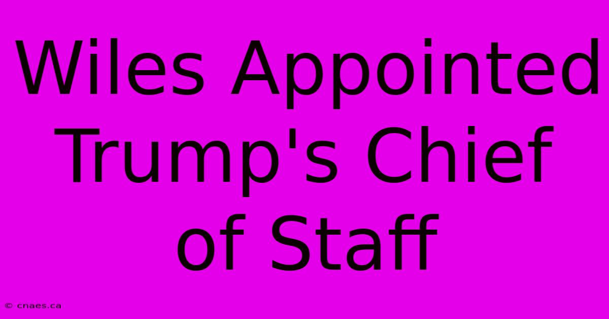 Wiles Appointed Trump's Chief Of Staff