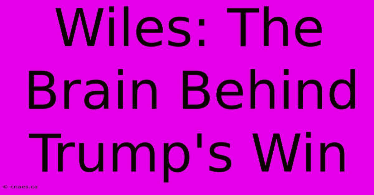 Wiles: The Brain Behind Trump's Win