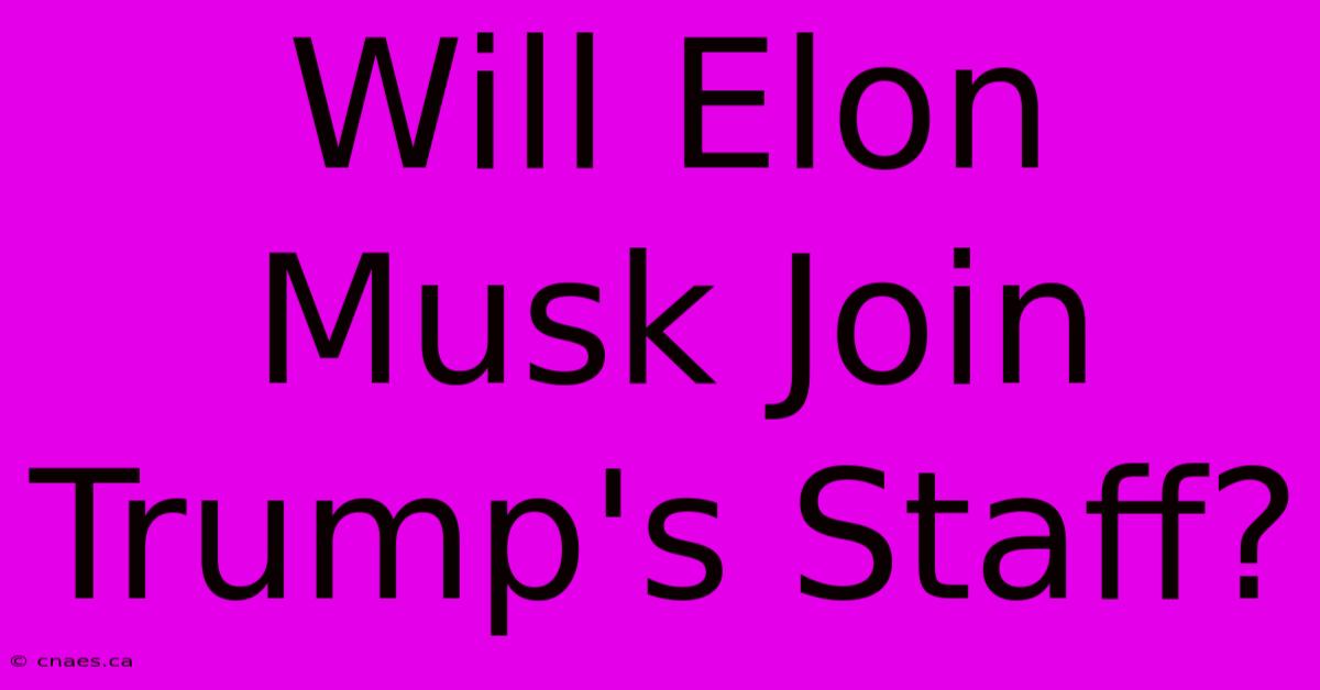 Will Elon Musk Join Trump's Staff?