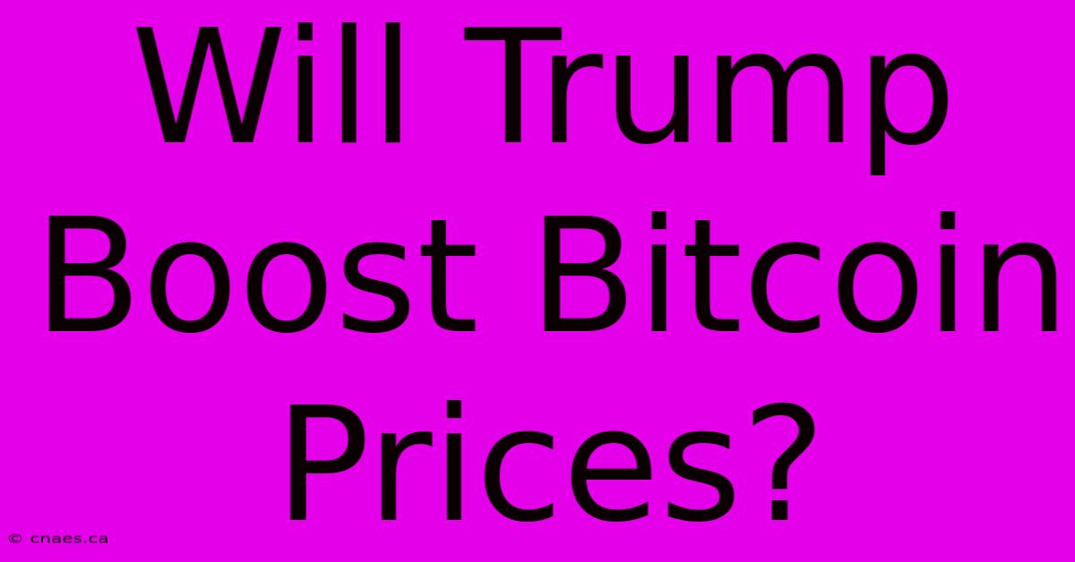 Will Trump Boost Bitcoin Prices?