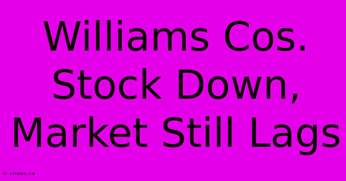 Williams Cos. Stock Down, Market Still Lags 