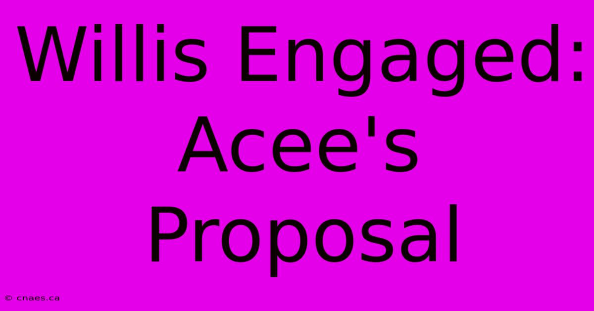 Willis Engaged:  Acee's Proposal