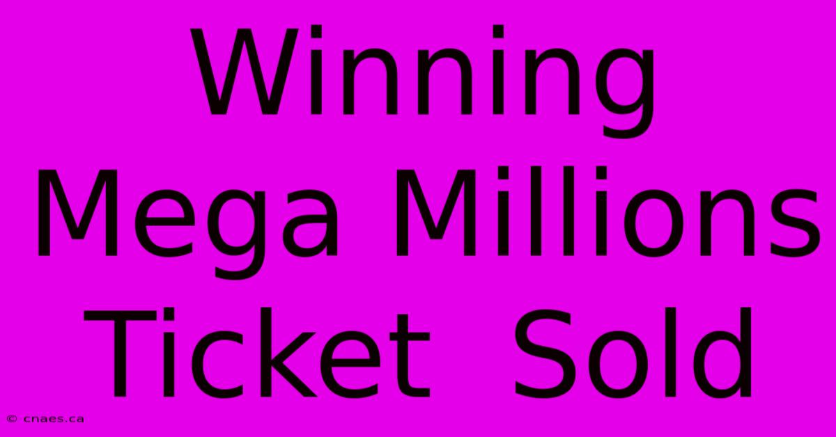 Winning Mega Millions Ticket  Sold