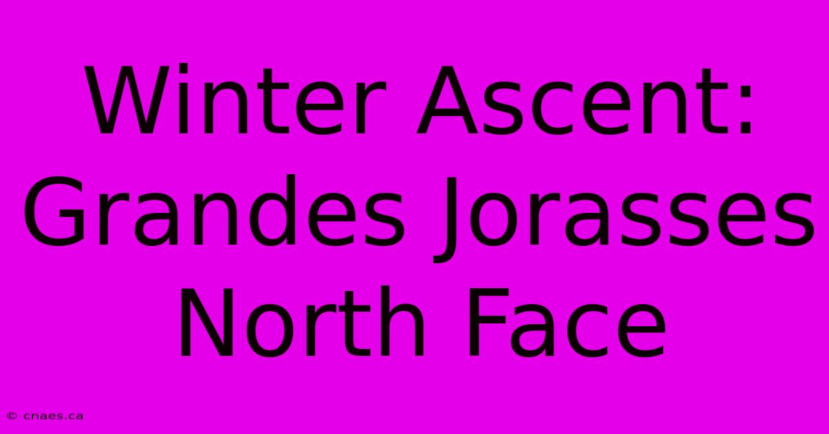 Winter Ascent: Grandes Jorasses North Face