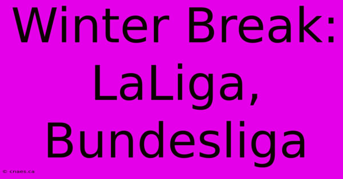 Winter Break: LaLiga, Bundesliga