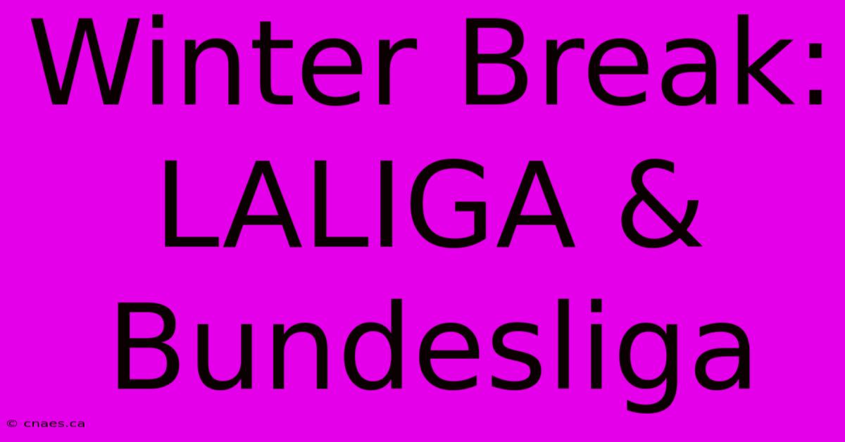 Winter Break: LALIGA & Bundesliga