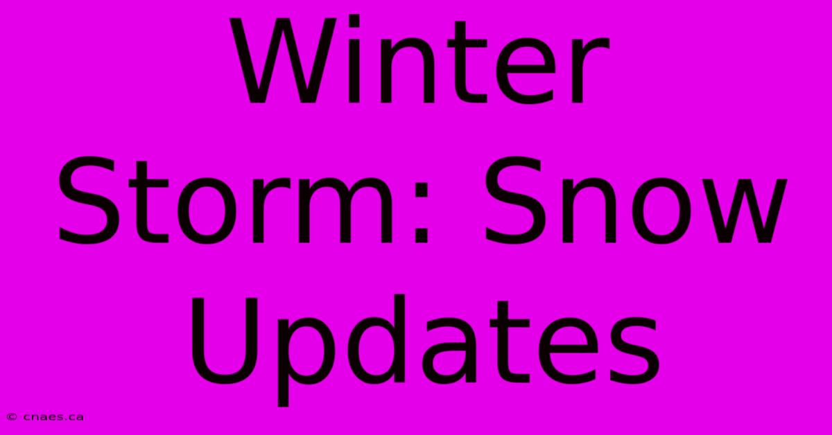 Winter Storm: Snow Updates