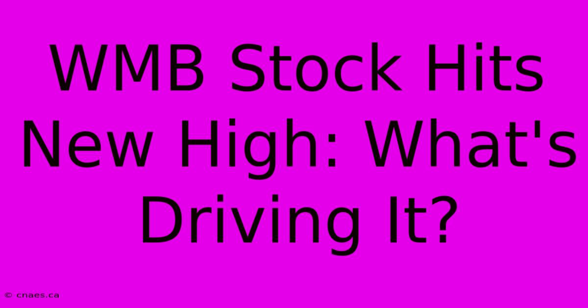 WMB Stock Hits New High: What's Driving It?