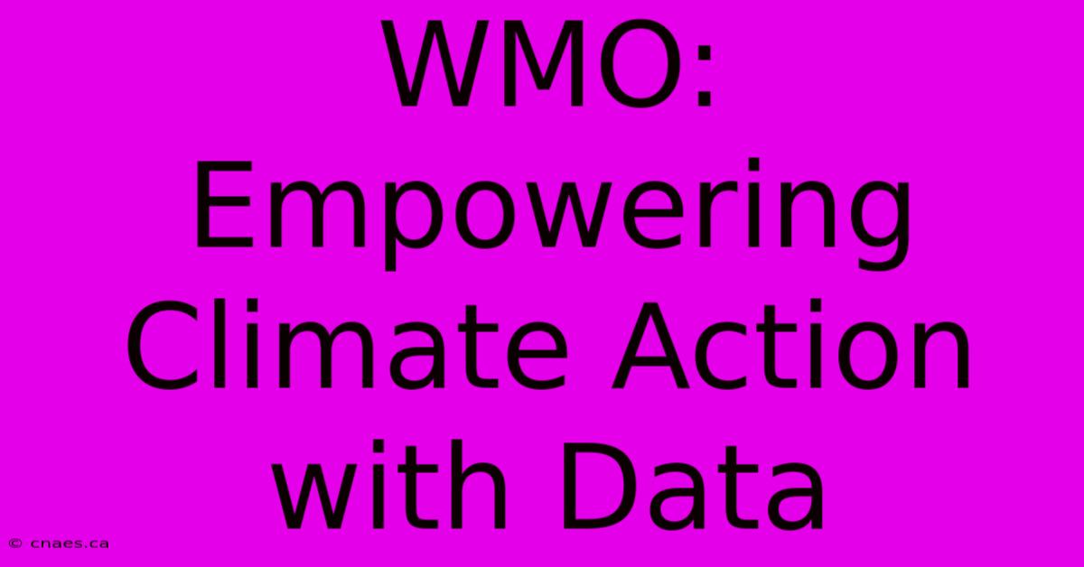 WMO: Empowering Climate Action With Data 