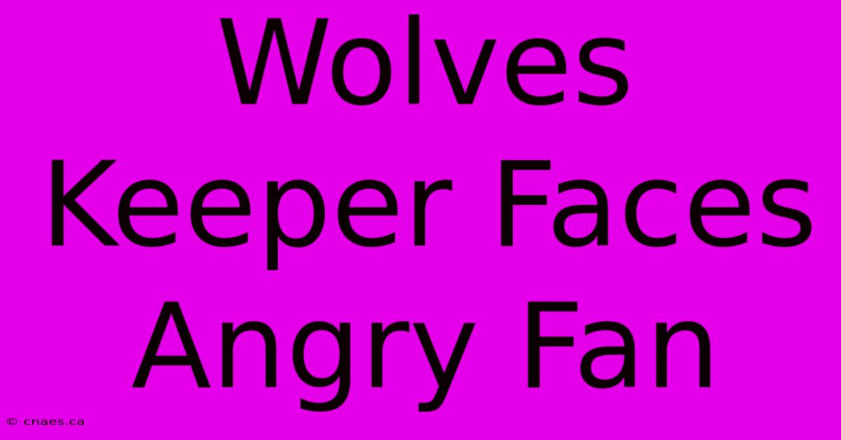 Wolves Keeper Faces Angry Fan