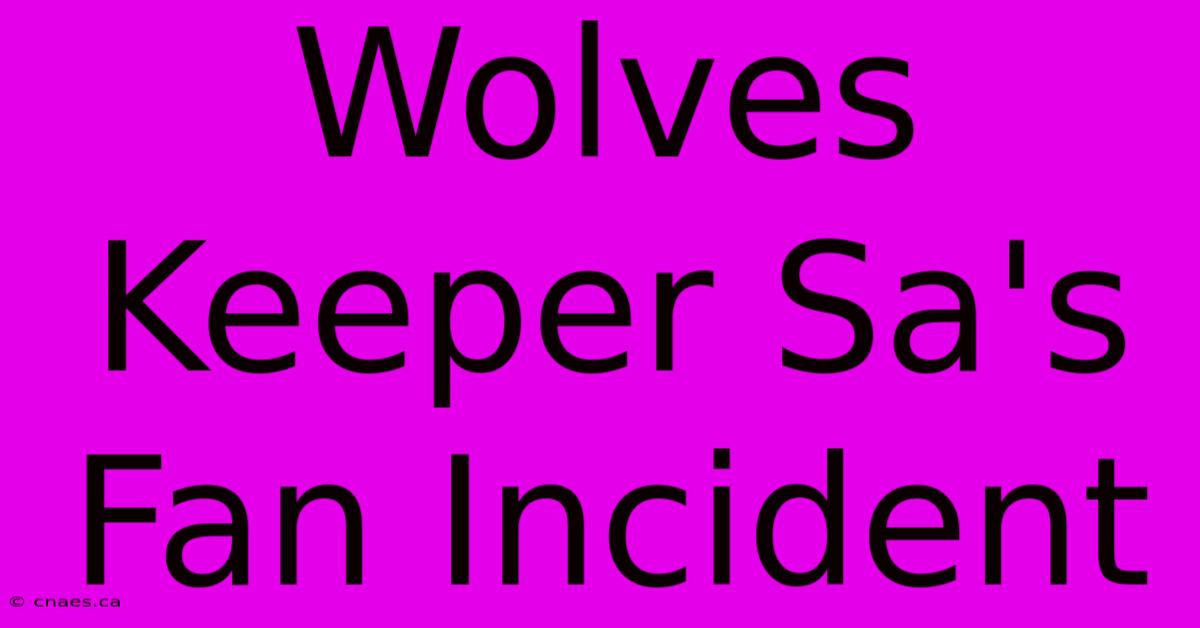 Wolves Keeper Sa's Fan Incident