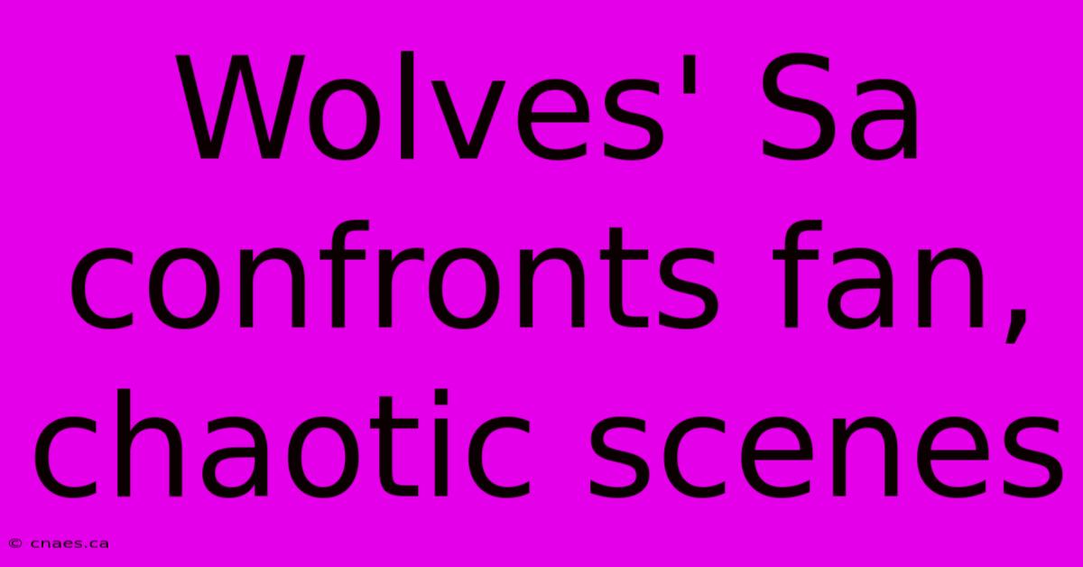 Wolves' Sa Confronts Fan, Chaotic Scenes