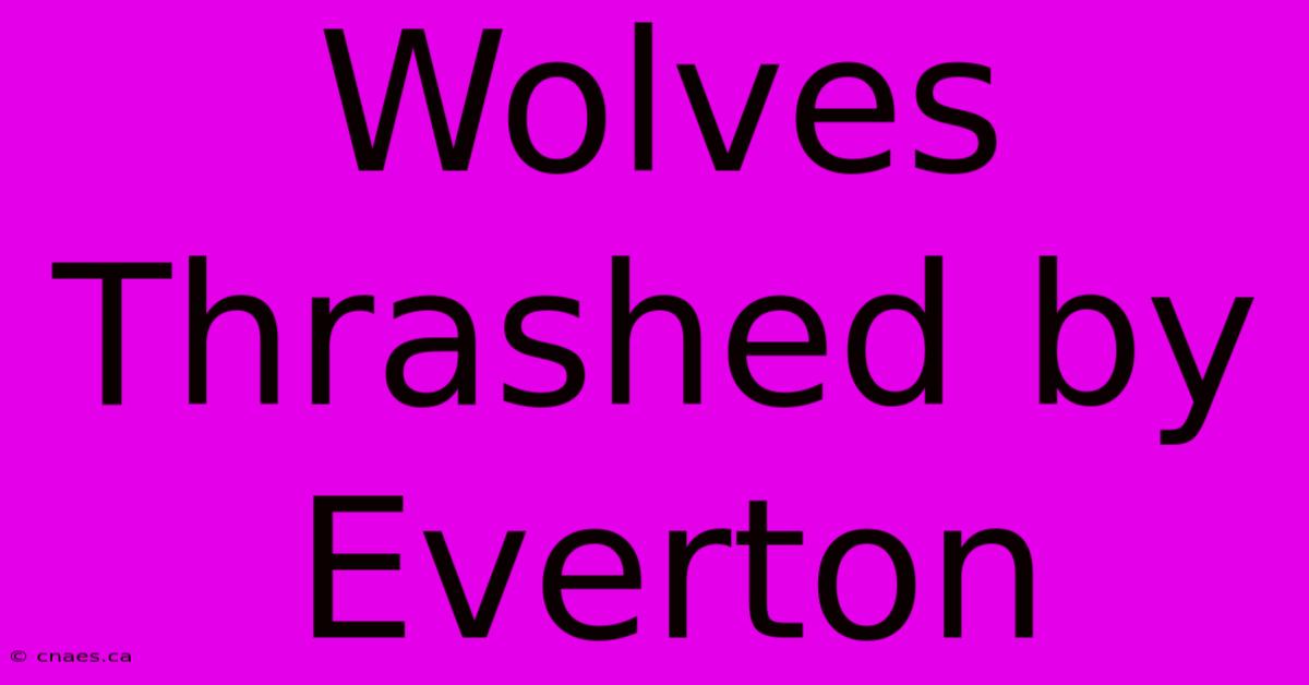 Wolves Thrashed By Everton