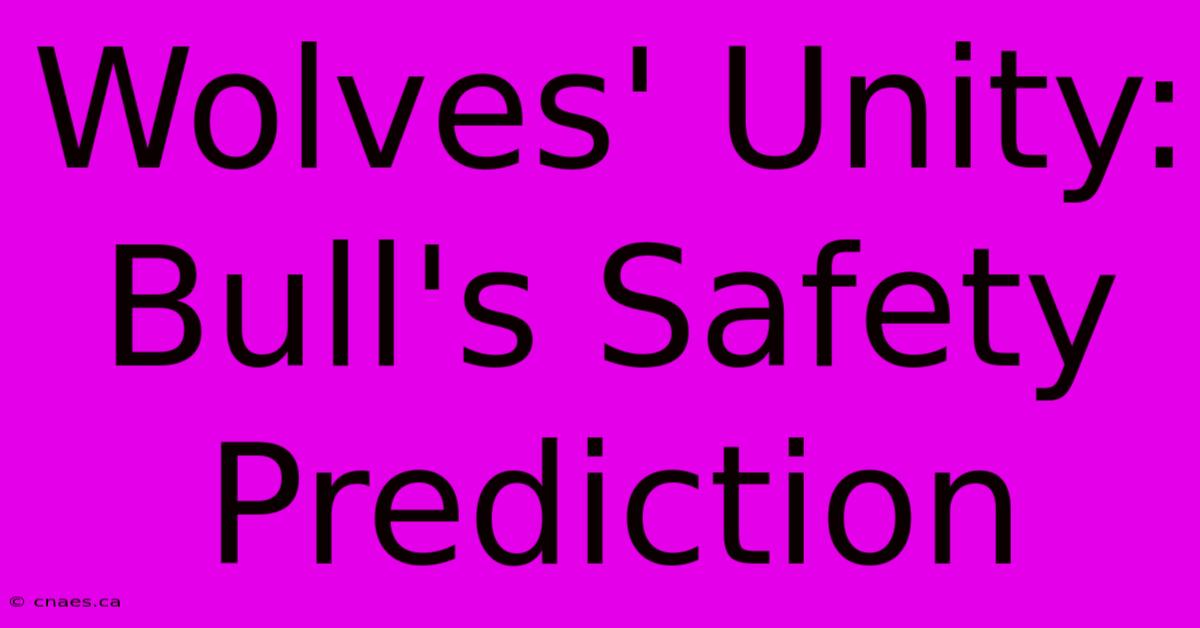 Wolves' Unity: Bull's Safety Prediction