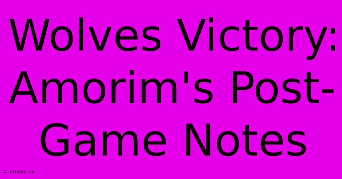 Wolves Victory: Amorim's Post-Game Notes