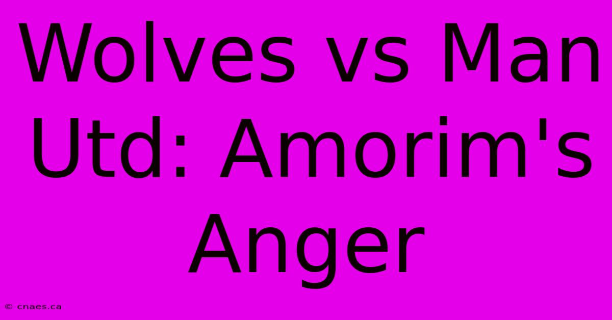 Wolves Vs Man Utd: Amorim's Anger