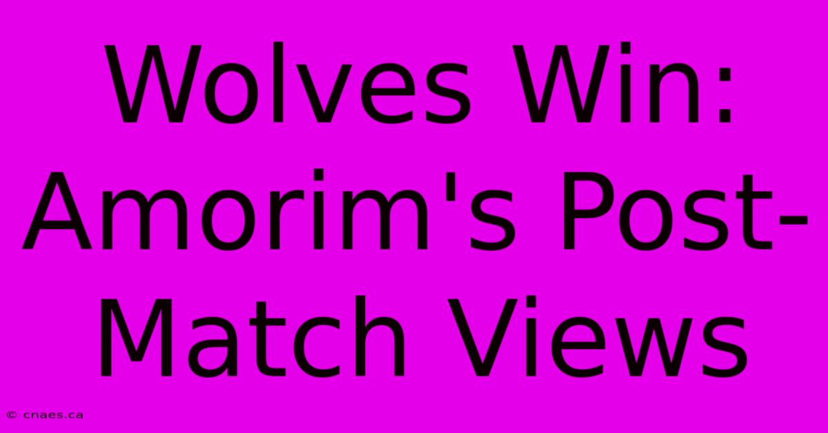 Wolves Win: Amorim's Post-Match Views