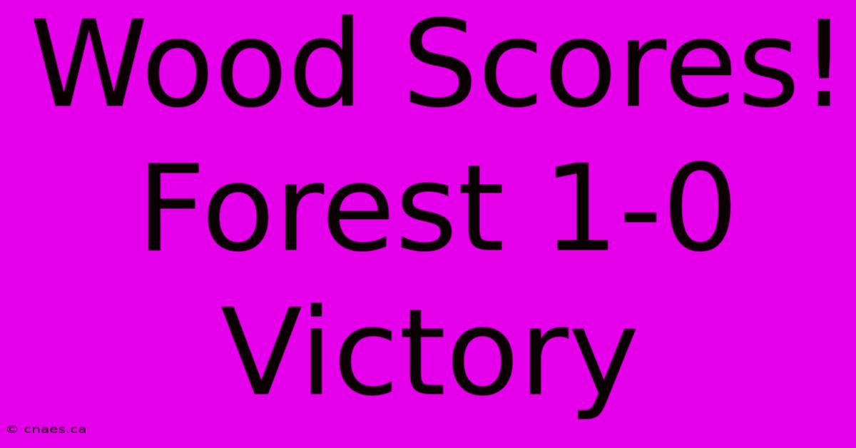 Wood Scores! Forest 1-0 Victory