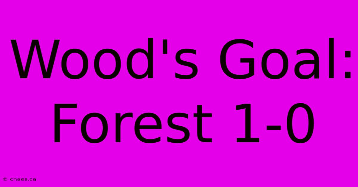 Wood's Goal: Forest 1-0