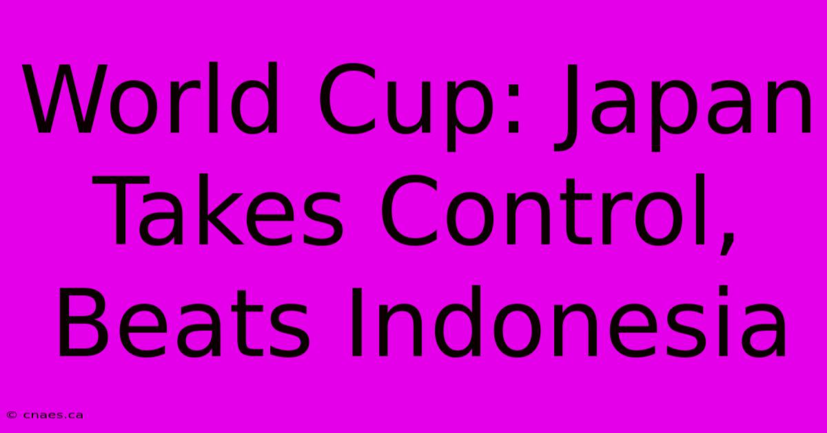 World Cup: Japan Takes Control, Beats Indonesia