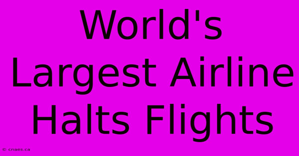 World's Largest Airline Halts Flights