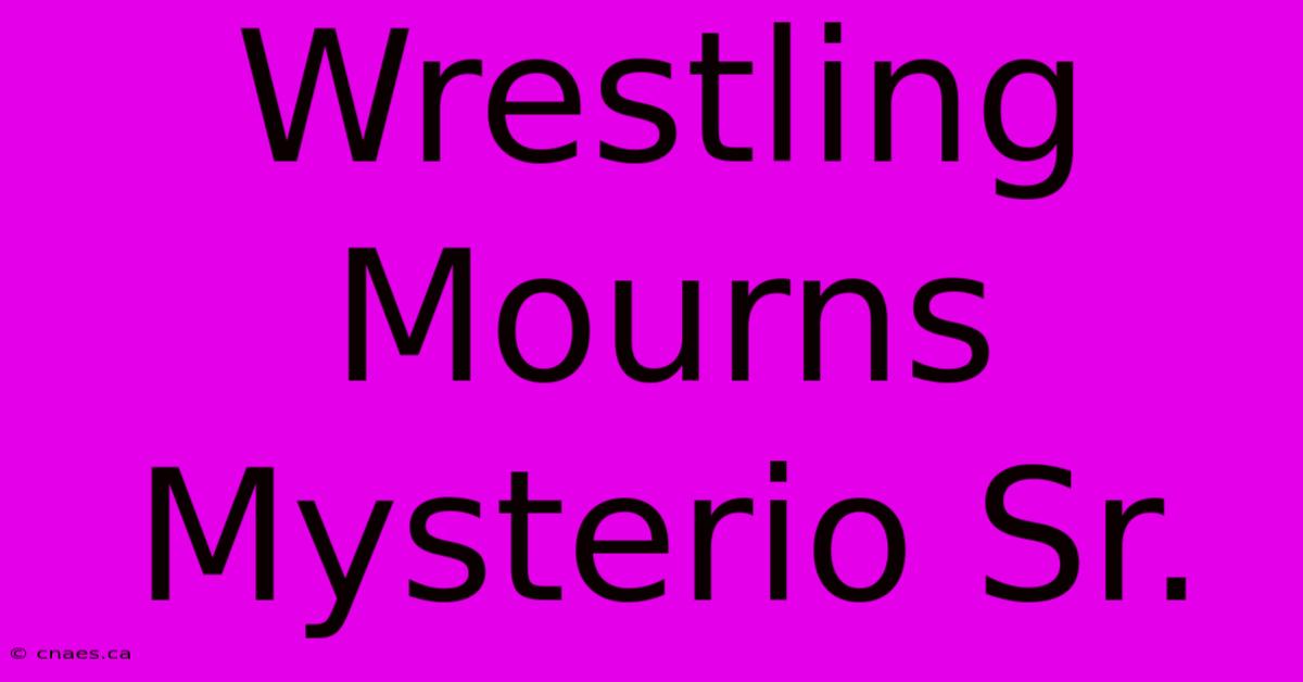 Wrestling Mourns Mysterio Sr.