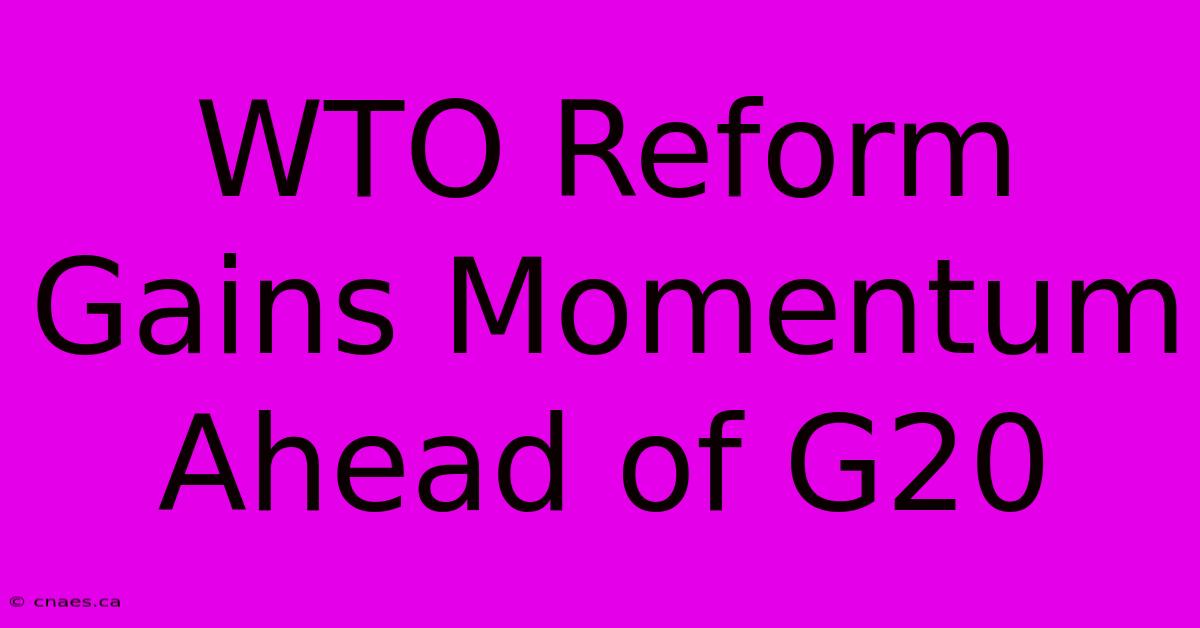 WTO Reform Gains Momentum Ahead Of G20