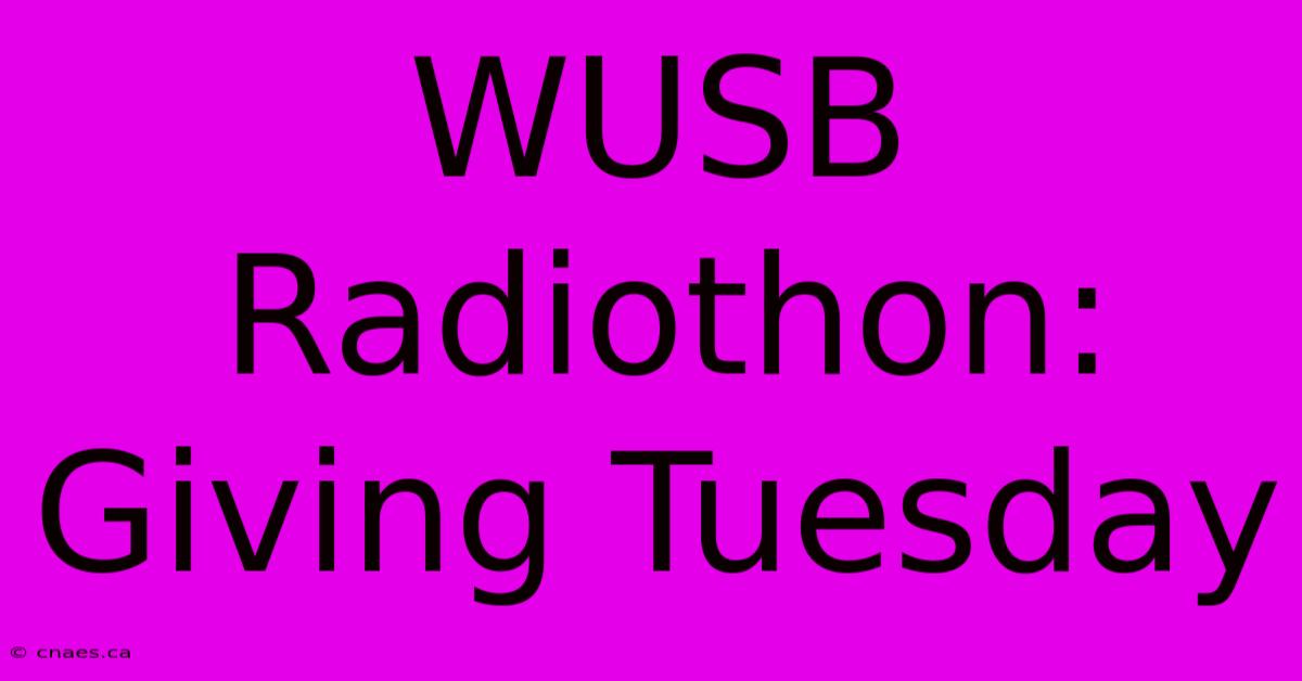 WUSB Radiothon: Giving Tuesday