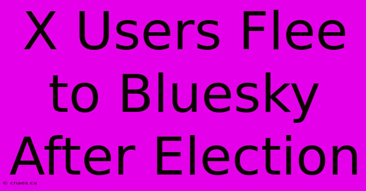 X Users Flee To Bluesky After Election