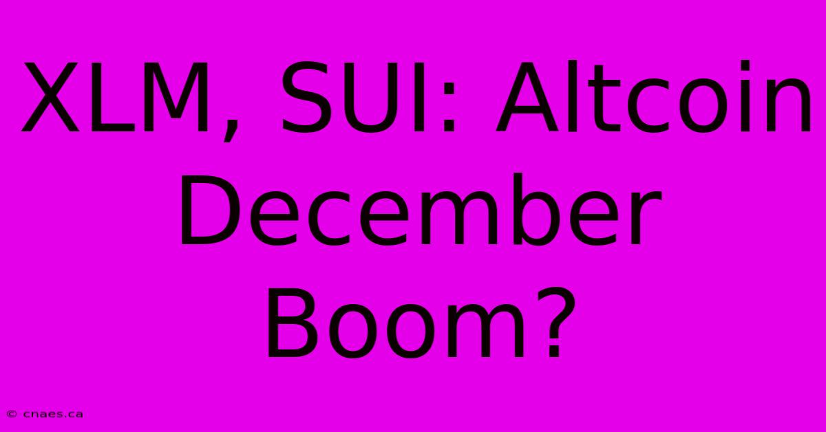 XLM, SUI: Altcoin December Boom?