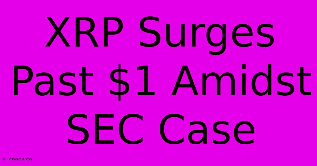 XRP Surges Past $1 Amidst SEC Case