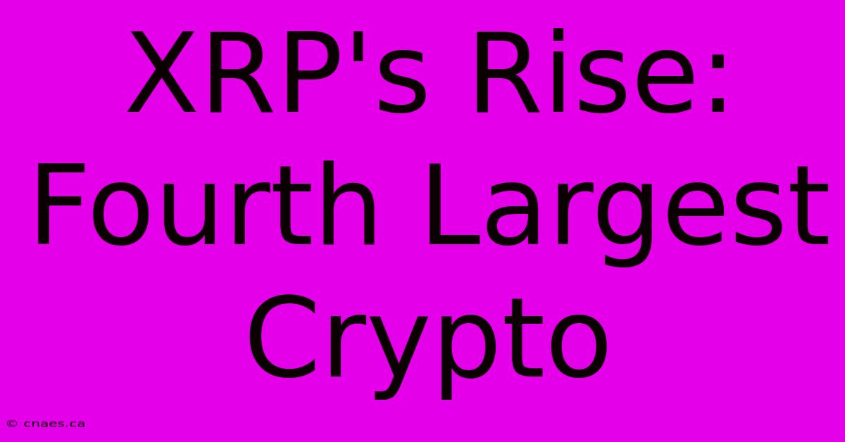 XRP's Rise: Fourth Largest Crypto