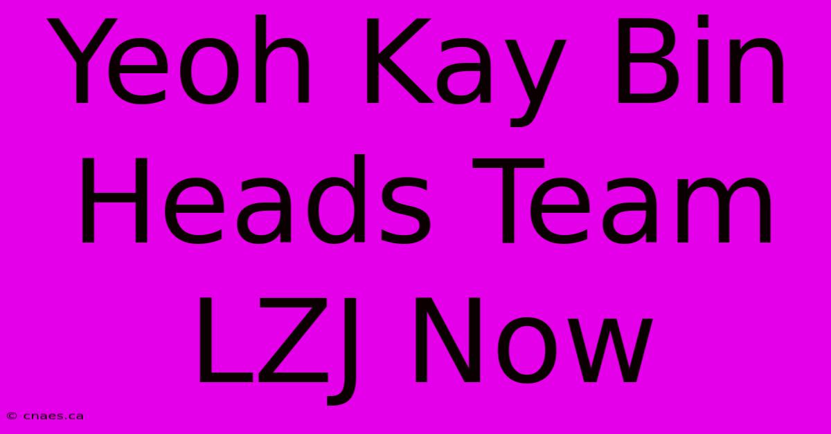 Yeoh Kay Bin Heads Team LZJ Now