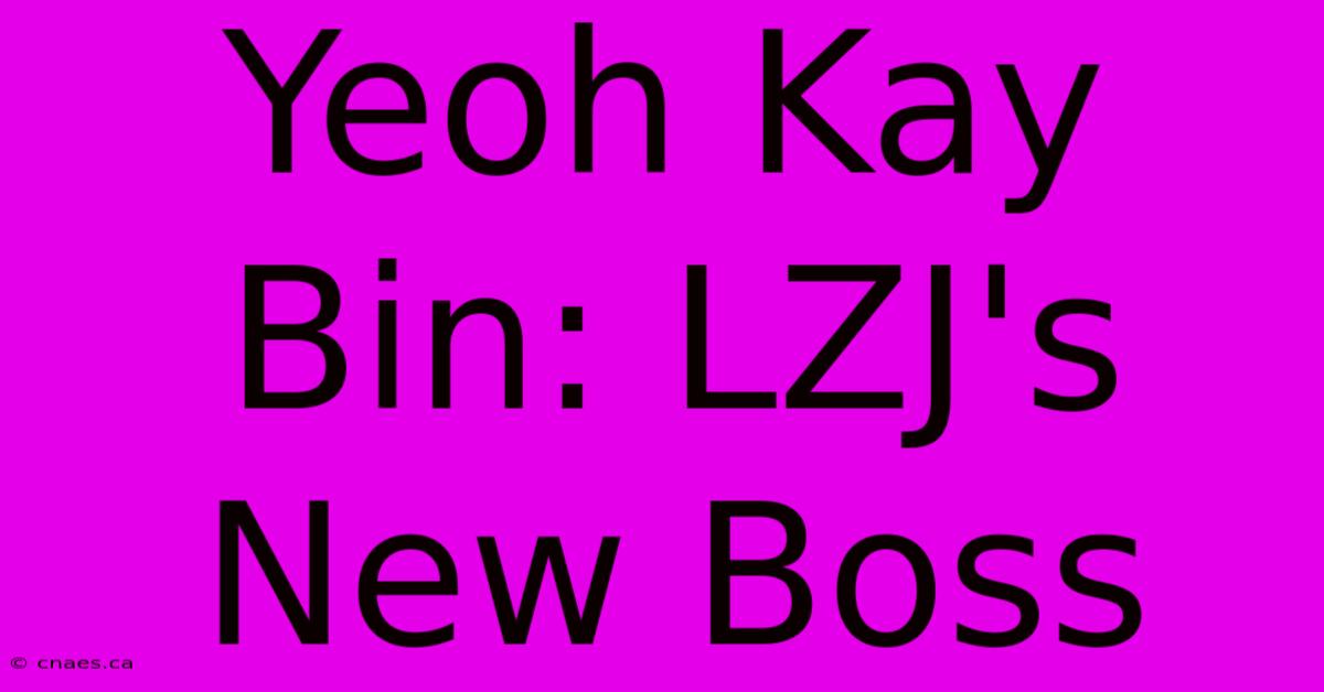 Yeoh Kay Bin: LZJ's New Boss