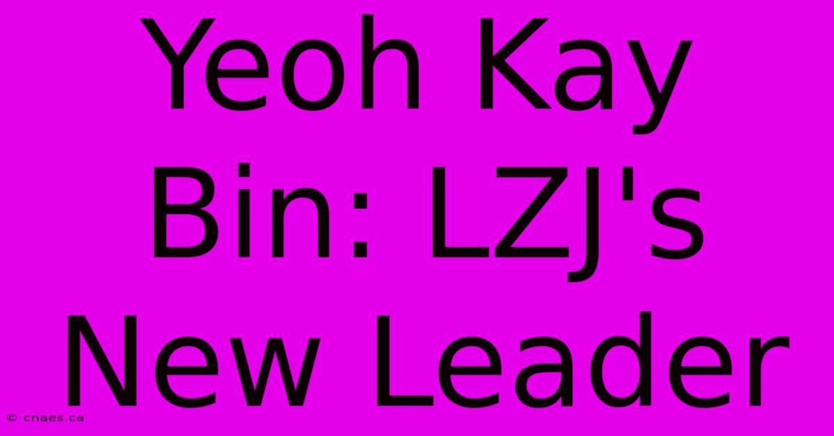 Yeoh Kay Bin: LZJ's New Leader