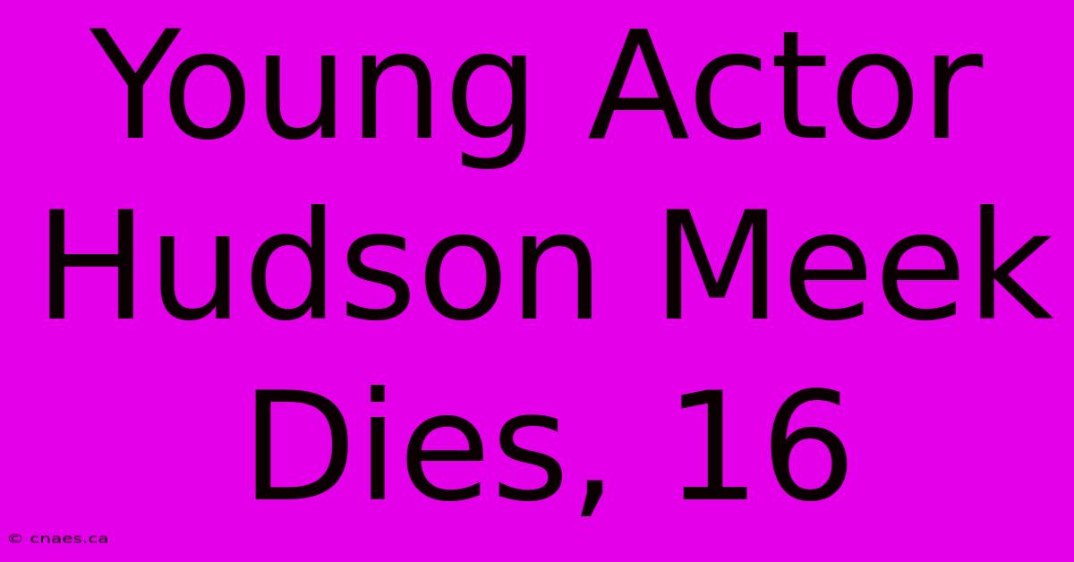 Young Actor Hudson Meek Dies, 16