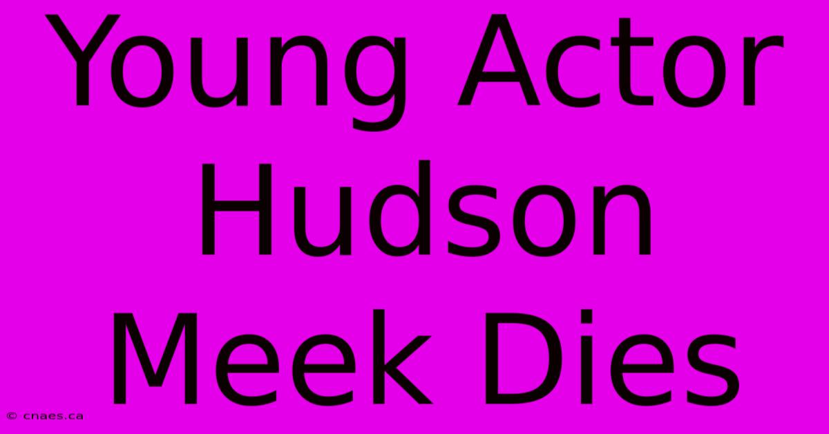 Young Actor Hudson Meek Dies