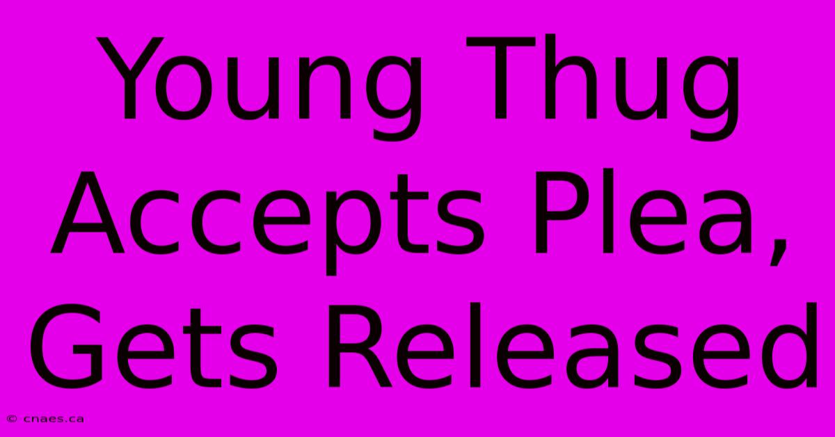 Young Thug Accepts Plea, Gets Released