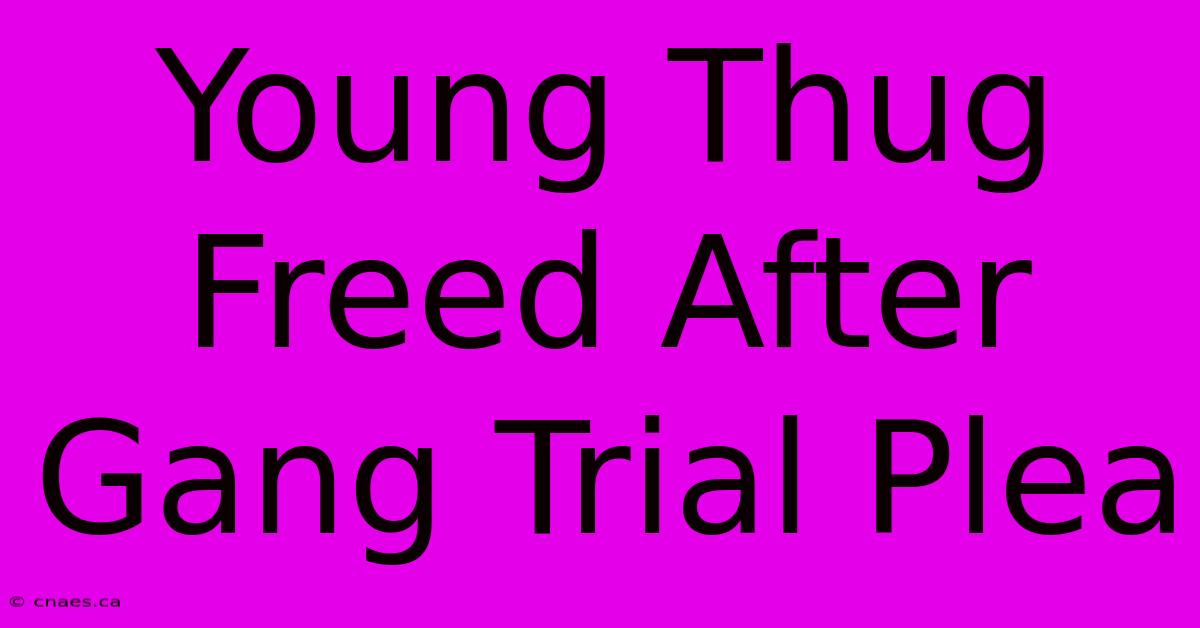 Young Thug Freed After Gang Trial Plea