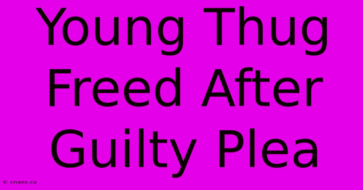 Young Thug Freed After Guilty Plea