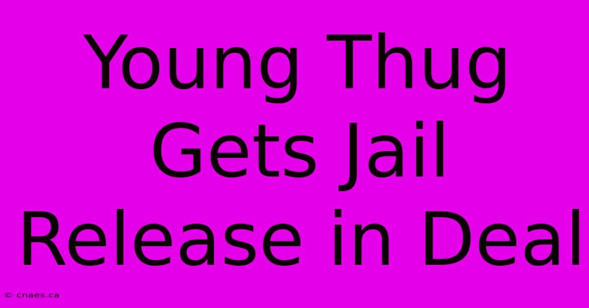 Young Thug Gets Jail Release In Deal