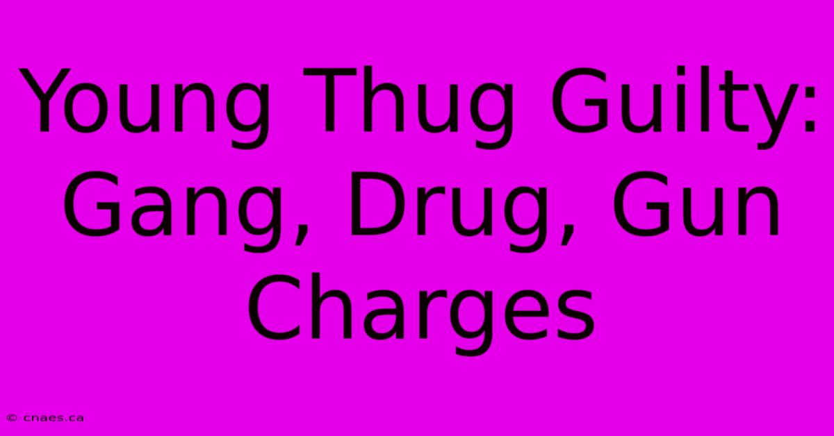 Young Thug Guilty: Gang, Drug, Gun Charges